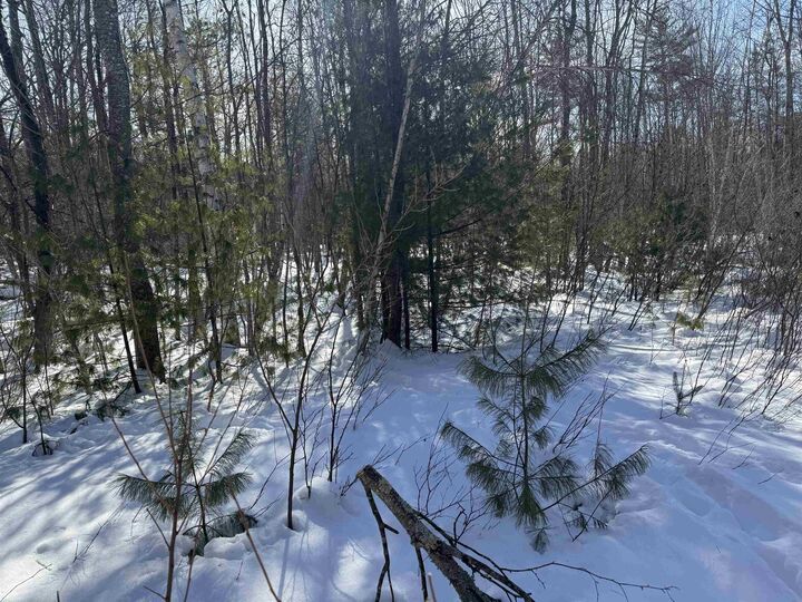 Property Photo:  0 White Mountain Highway  NH 03872 