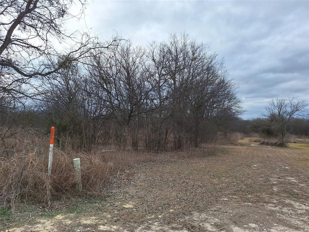 Property Photo:  303 Creekwood Drive  TX 76627 