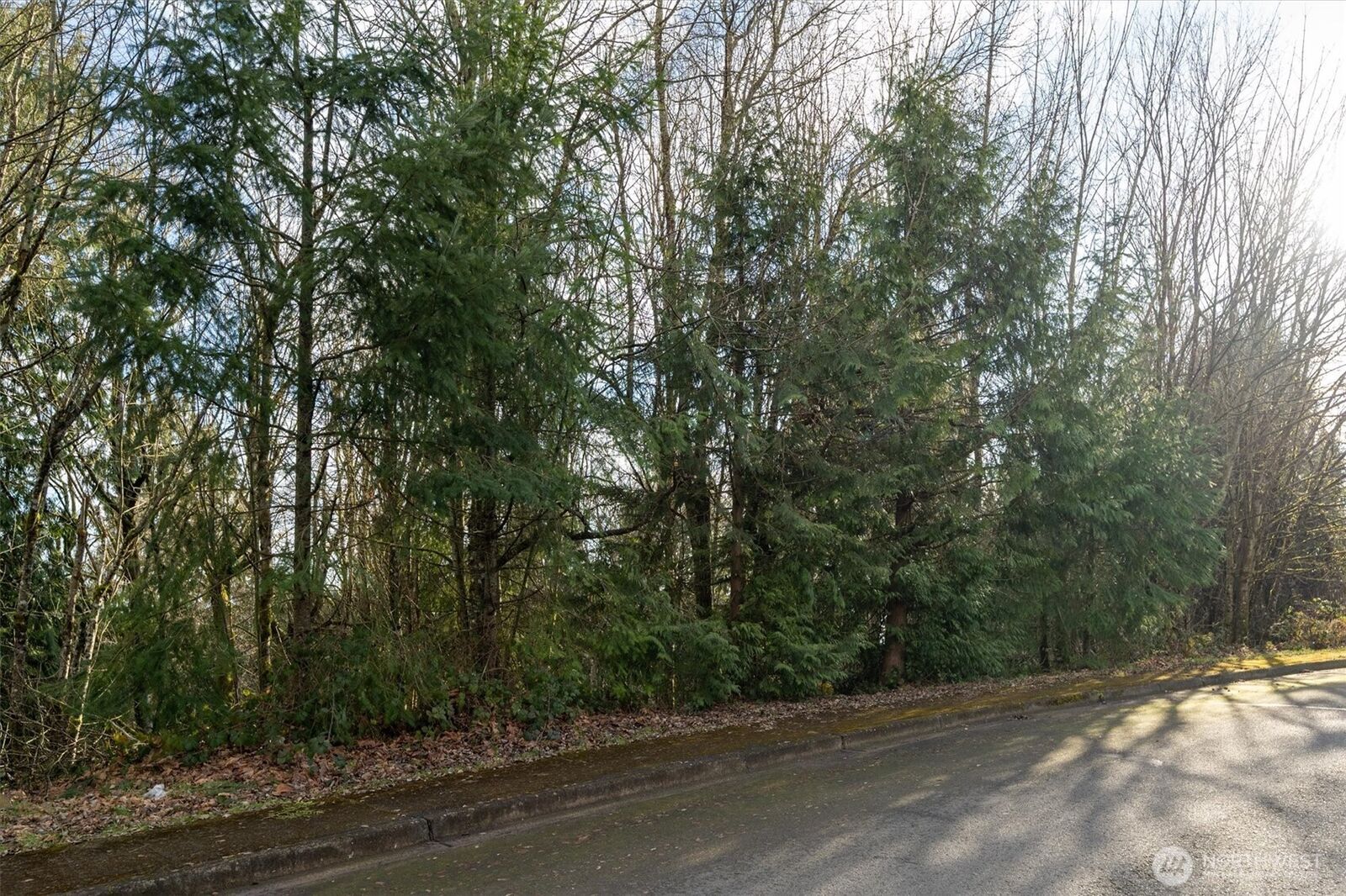 Property Photo:  0  Curtis Drive  WA 98632 