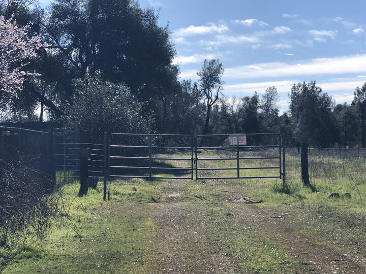 Property Photo:  1513 Harpole Road  CA 96002 