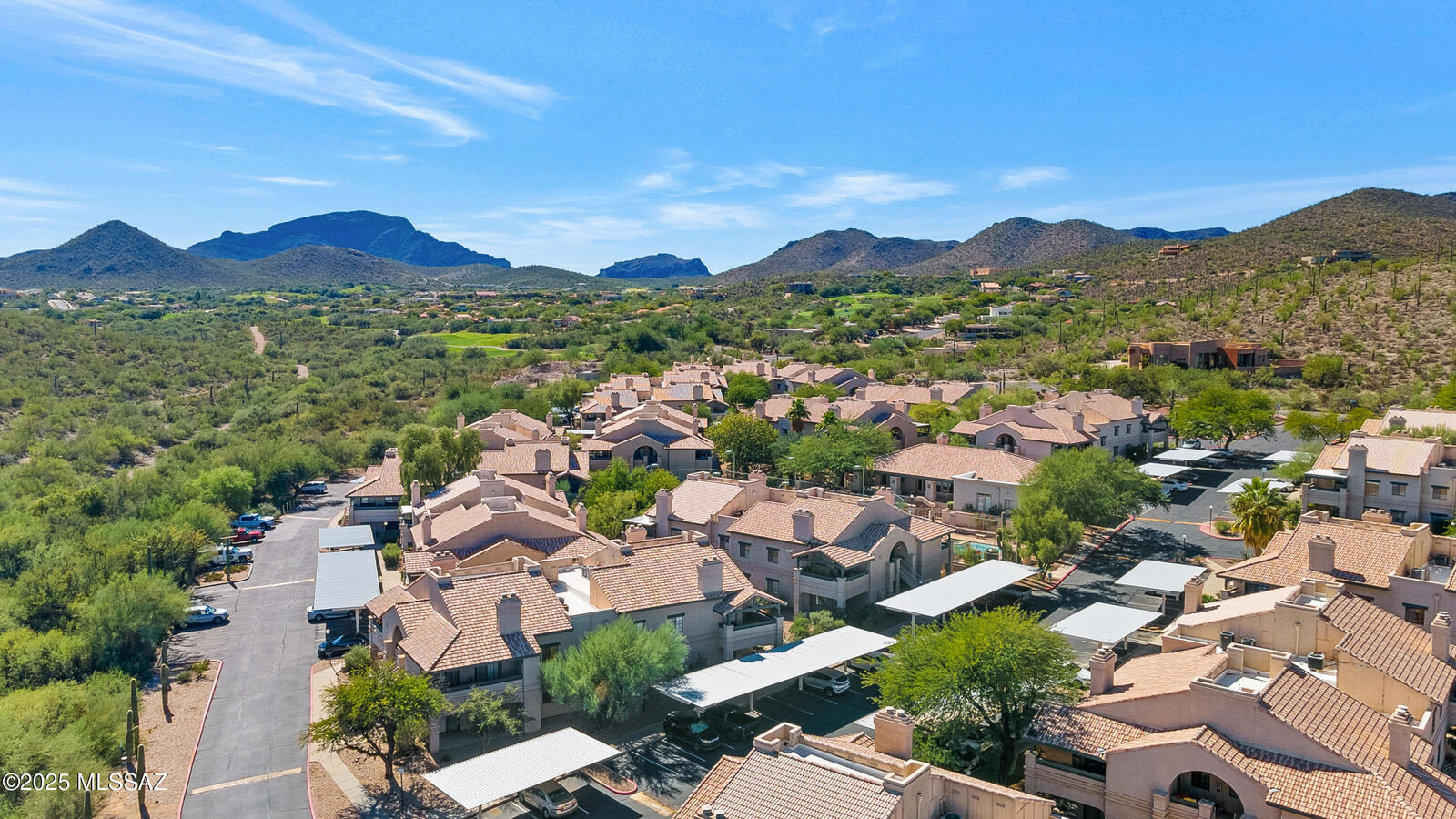 Property Photo:  101 S Players Club Drive 11202  AZ 85745 