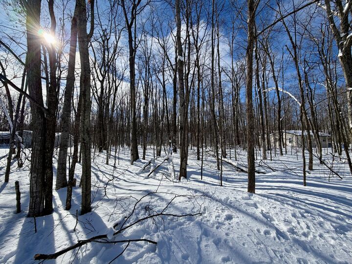 Property Photo:  L 683-684 Cedarhurst Drive  MI 49721 