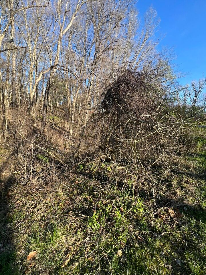 Property Photo:  940 McIntosh Drive  OH 43055 