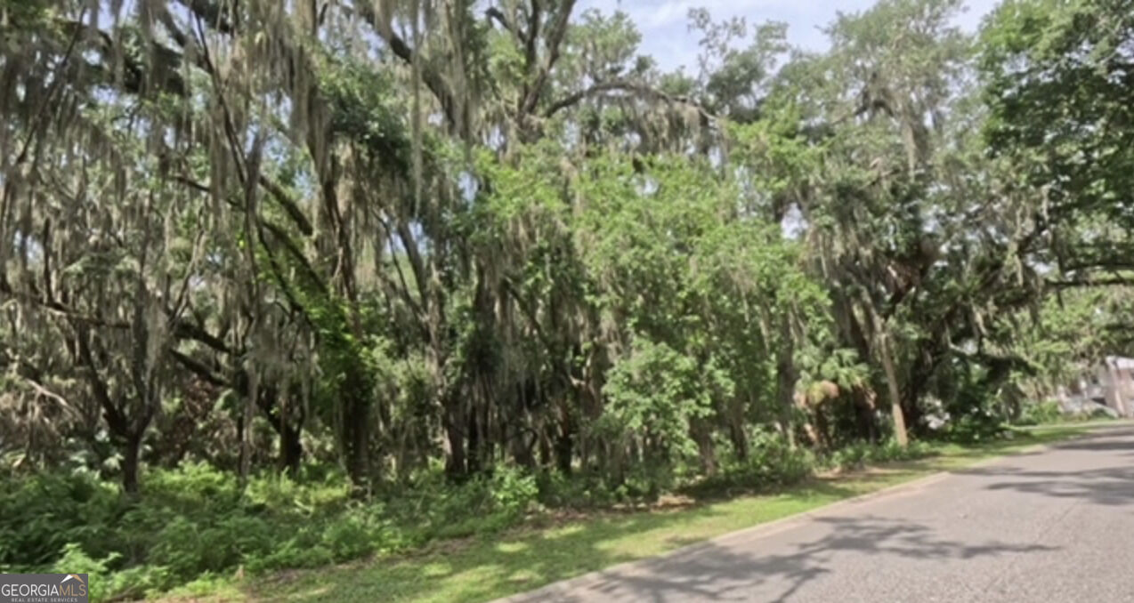Property Photo:  918 Wagner Lane  GA 31558 