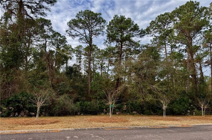 Property Photo: 306 Clubhouse Circle GA 31558