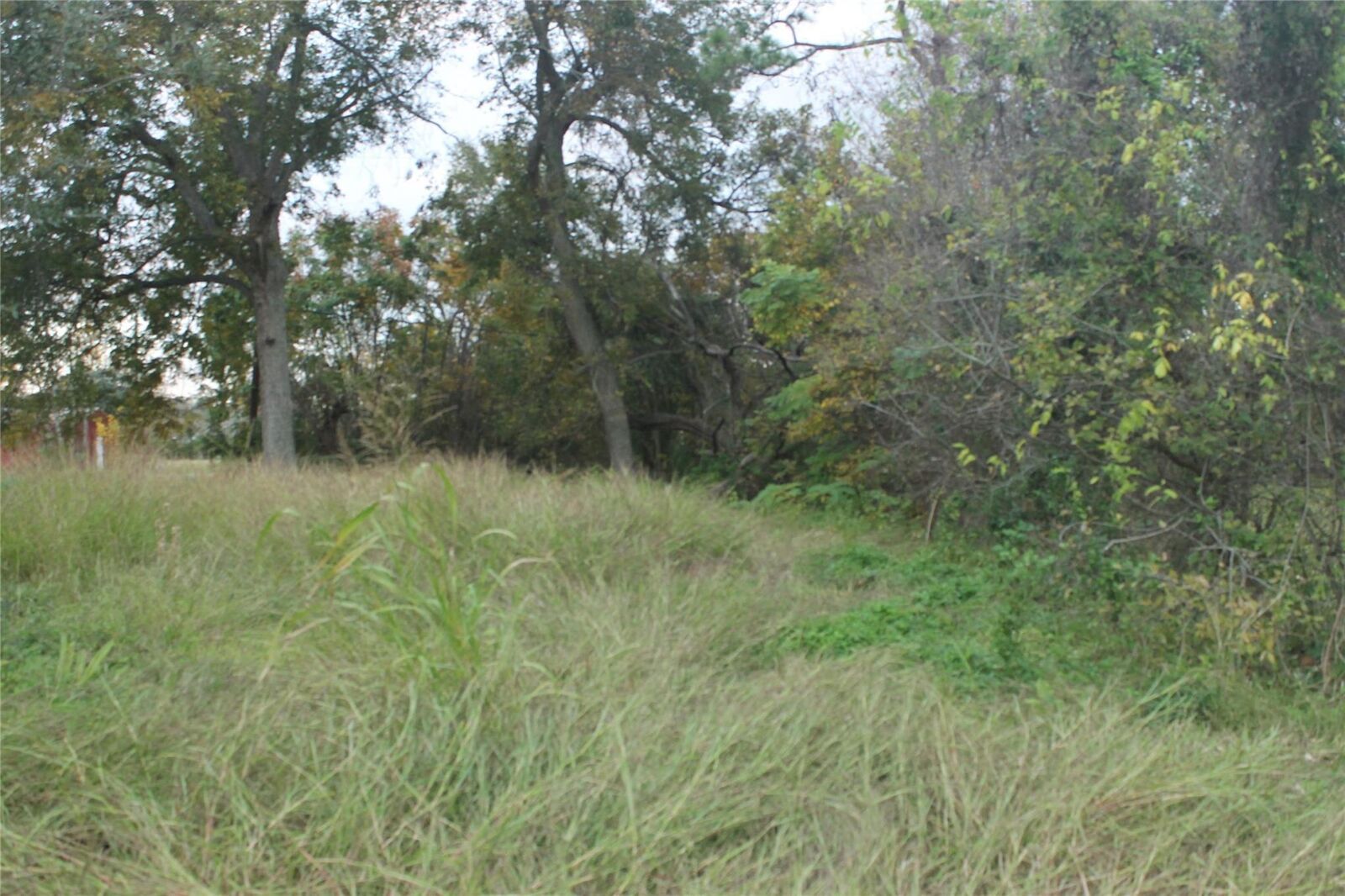 Property Photo:  426 Pear Street  TX 77568 