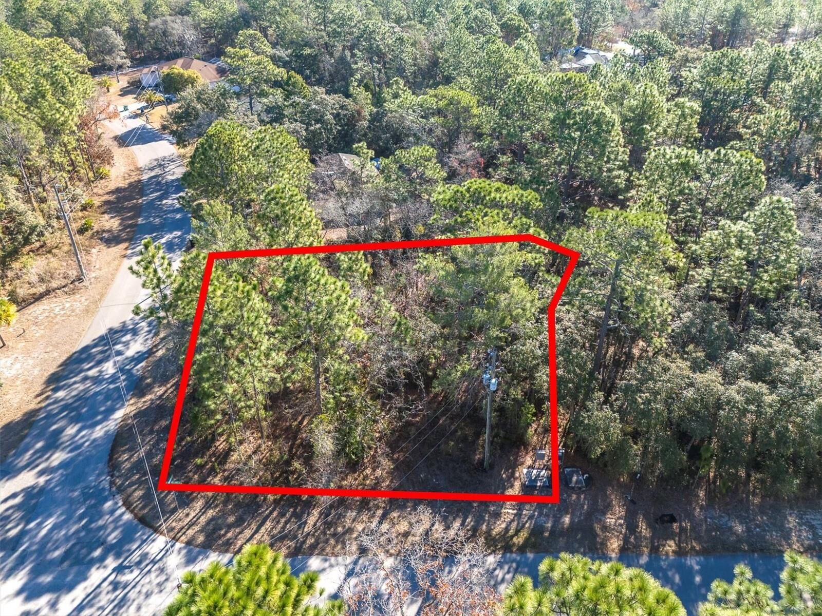 Property Photo:  30 Bells Of Ireland Court  FL 34446 