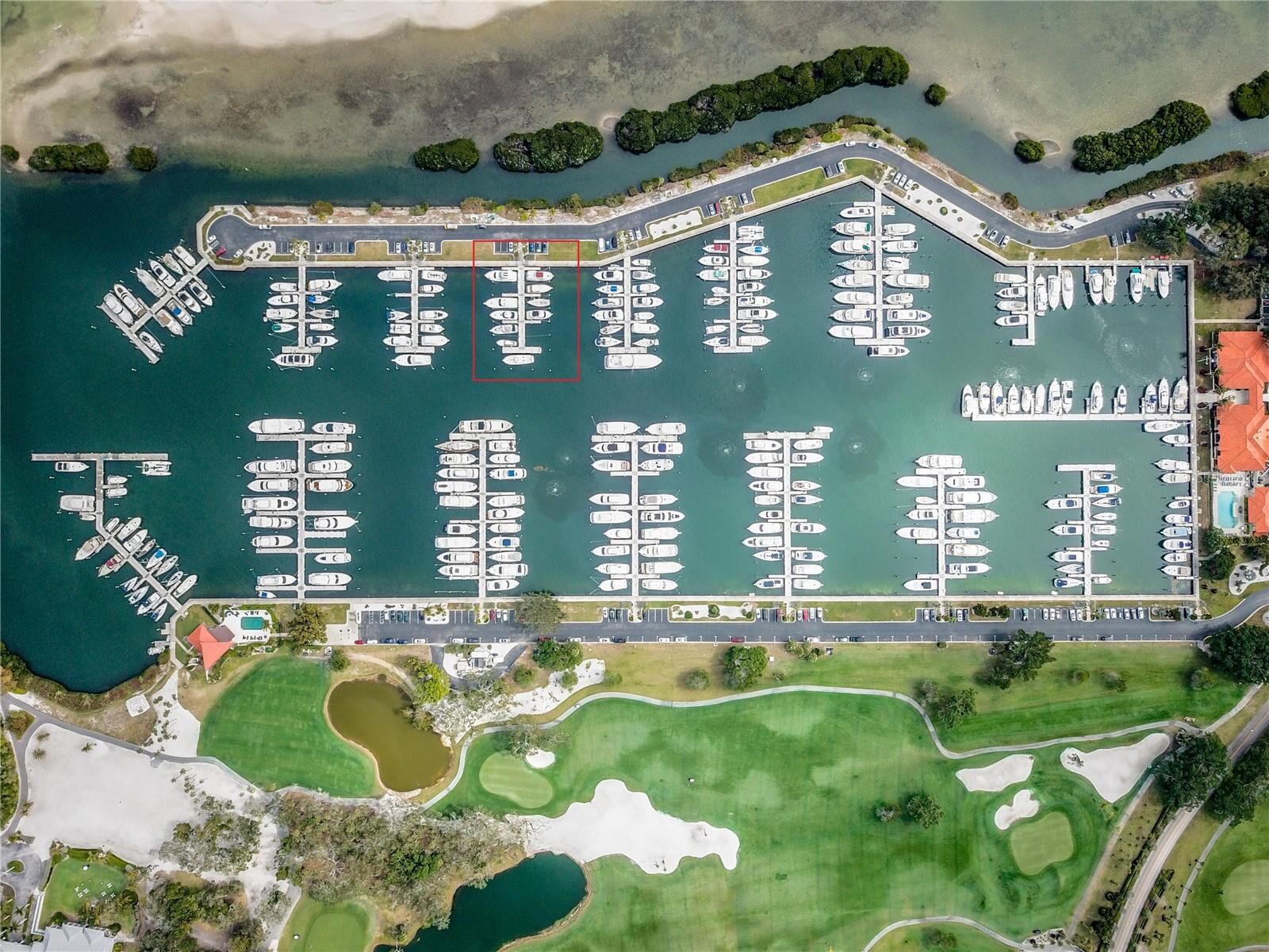 Property Photo: 26oo Harbourside Drive O-06 FL 34228