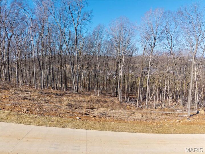 Property Photo: Lot 2 Heritage Farm Lane MO 63755