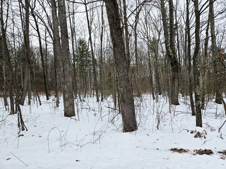 Property Photo:  863 Route 409  PA 18853 