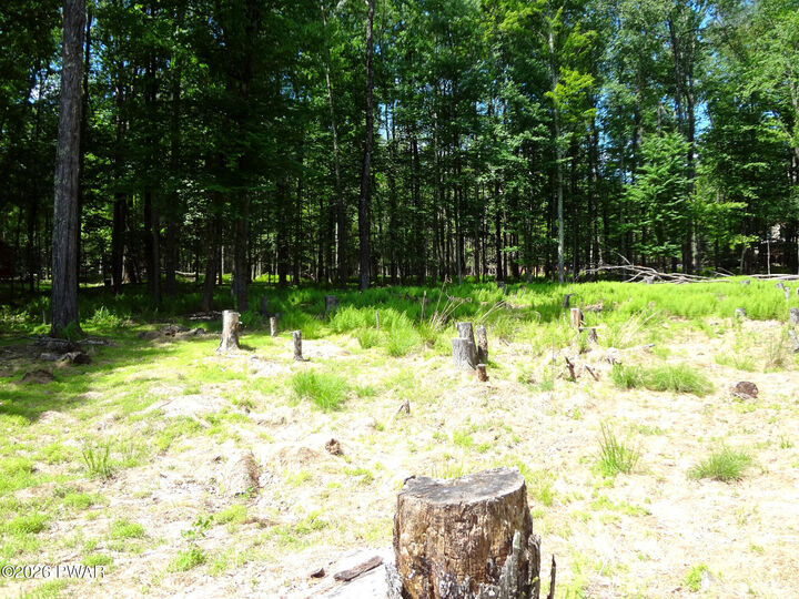 Property Photo:  10 &Amp 11dr South Briar Hill &Amp W. Lakeside Drive  PA 18438 