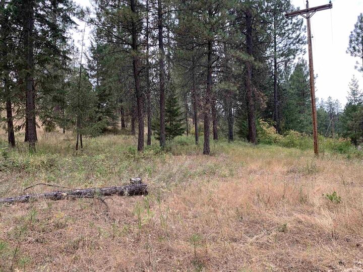 Property Photo:  160xx N Austin Rd  WA 99208 