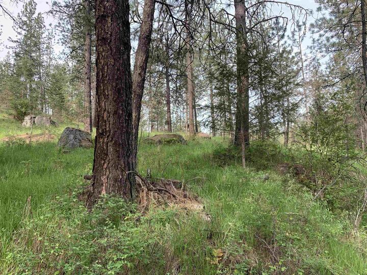 Property Photo:  160xx N Austin Rd  WA 99208 