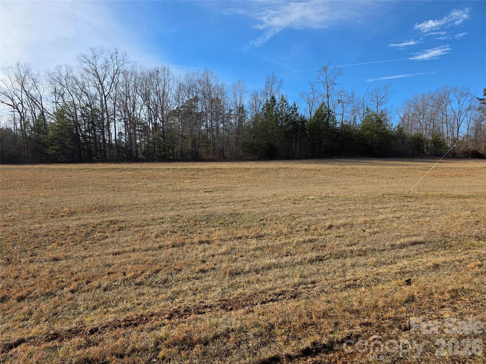 Property Photo: 00 County Line Road NC 29139