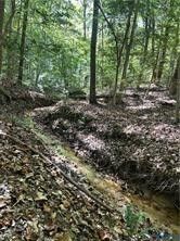 Property Photo:  0 Courthouse Road  VA 23841 