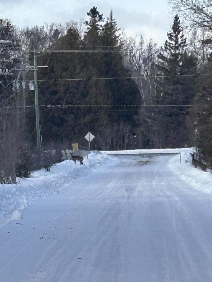Property Photo: Tbd S Flower Bay Rd MI 49719