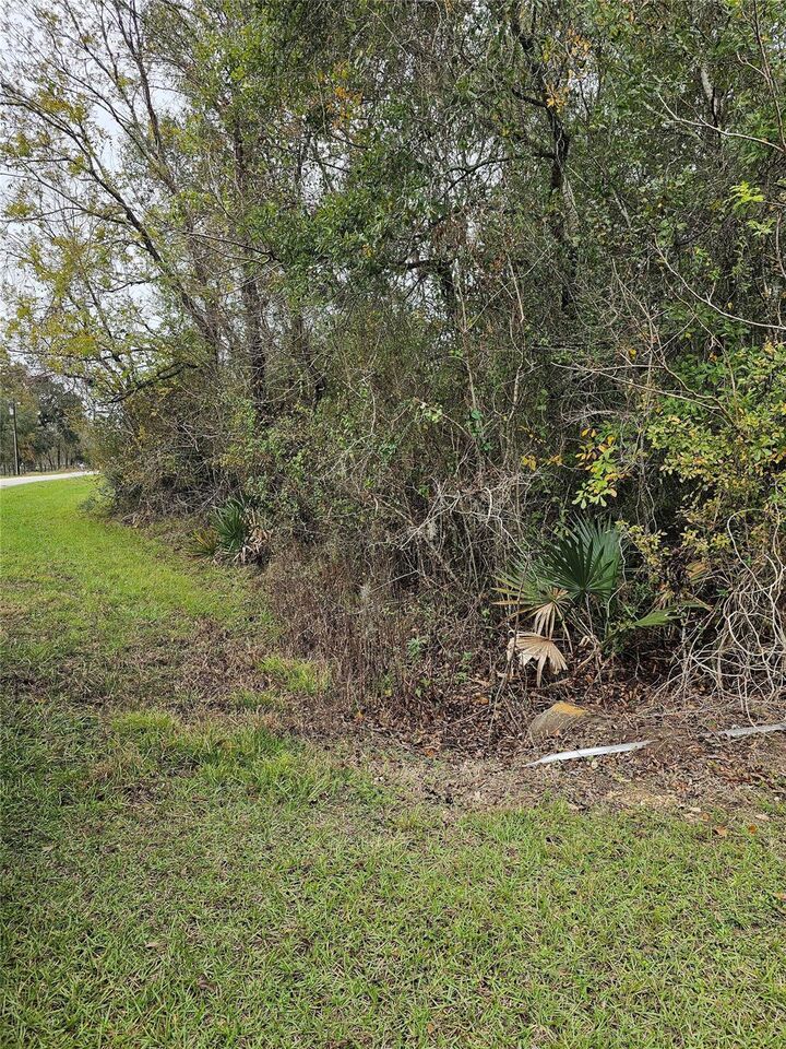 Property Photo:  1070 County Road 136 / Live Oak  TX 77482 