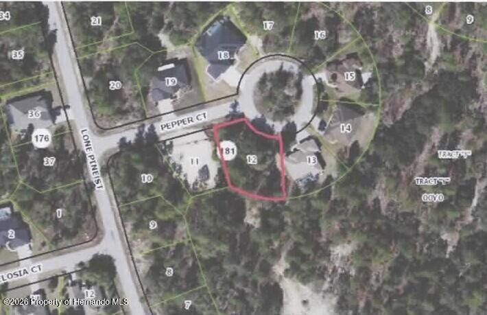 Property Photo:  6 Pepper Court  FL 34446 