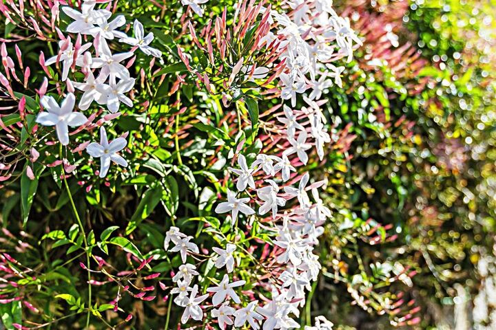 Property Photo:  3743 Rosemary Way  CA 92057 