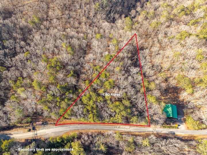 Property Photo:  1665 Hunter Drive  GA 30175 