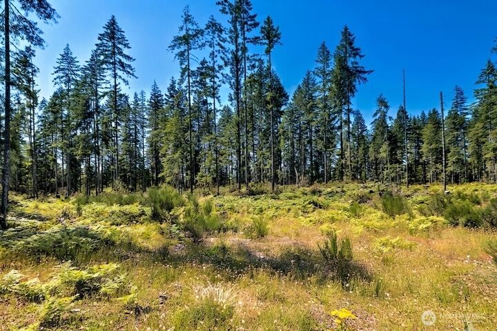 Property Photo:  701 W Clear Lake Drive  WA 98584 