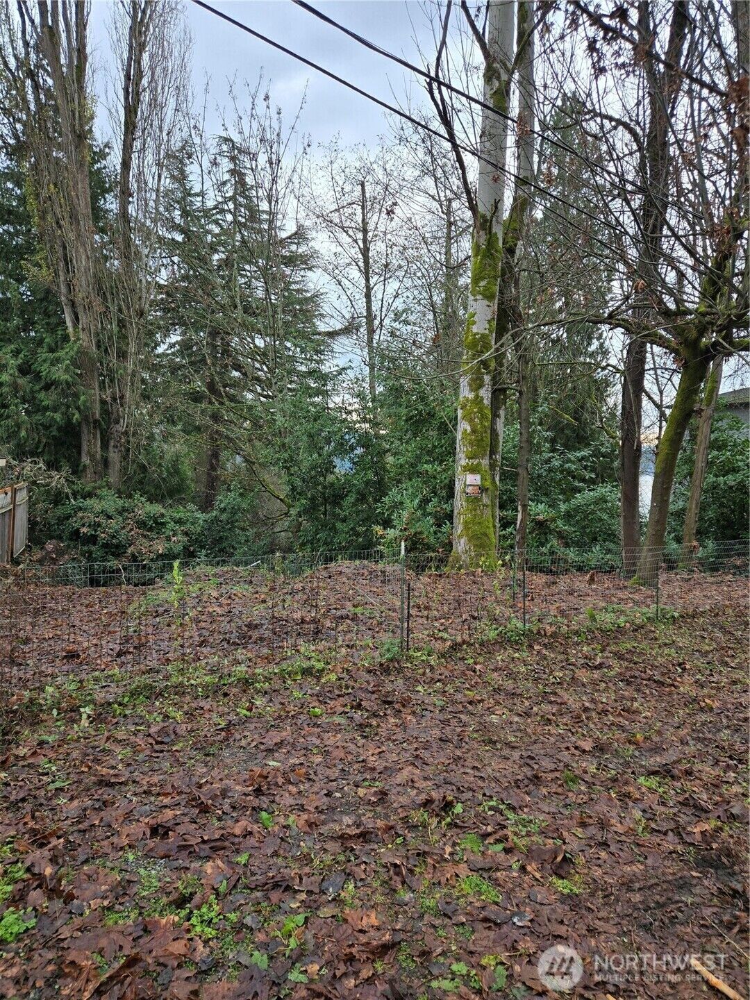 Property Photo:  14014  41st Avenue NE  WA 98125 