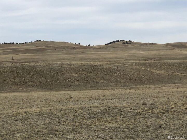 Property Photo:  758 Black Beaver Circle  CO 80449 