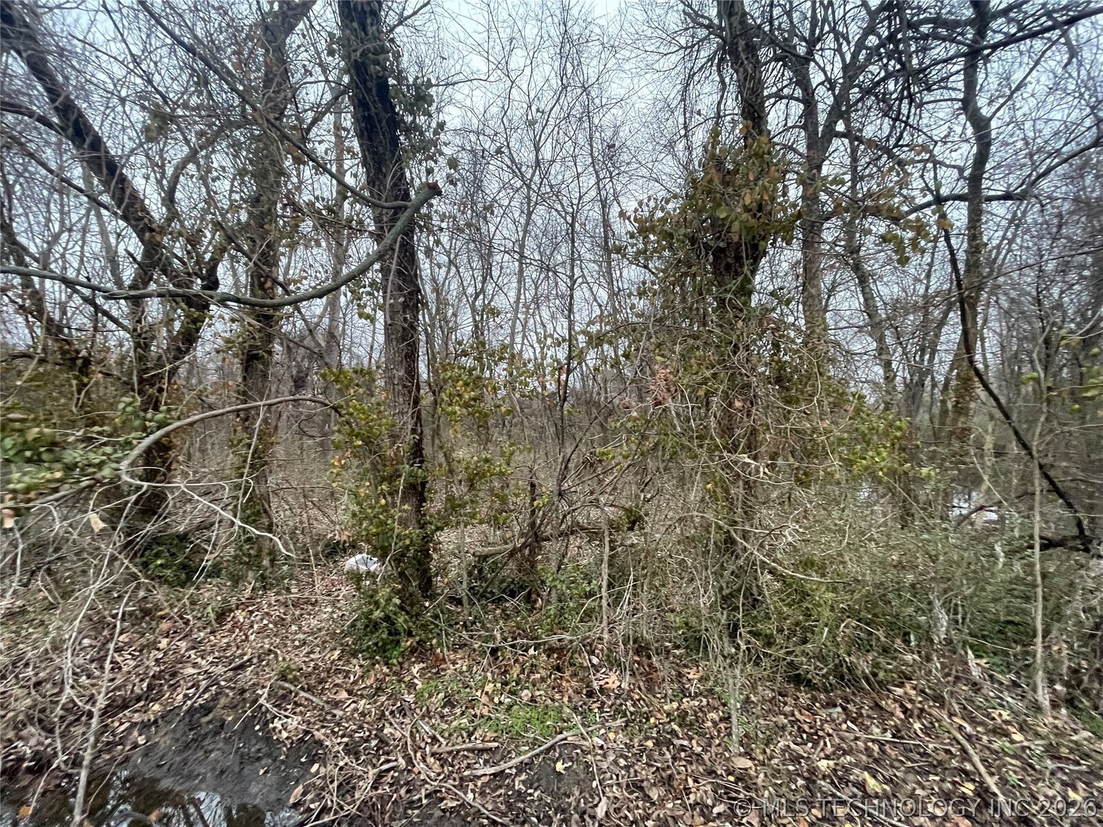 Property Photo:  23rd Street  OK 74401 