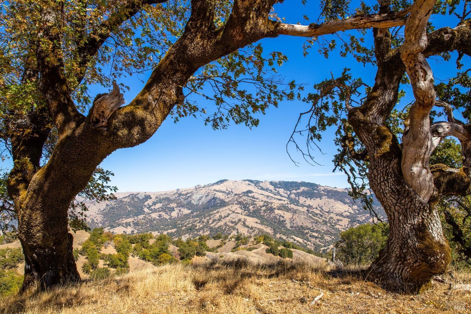 Property Photo:  7721 Simmerly Ranch Road  CA 95454 