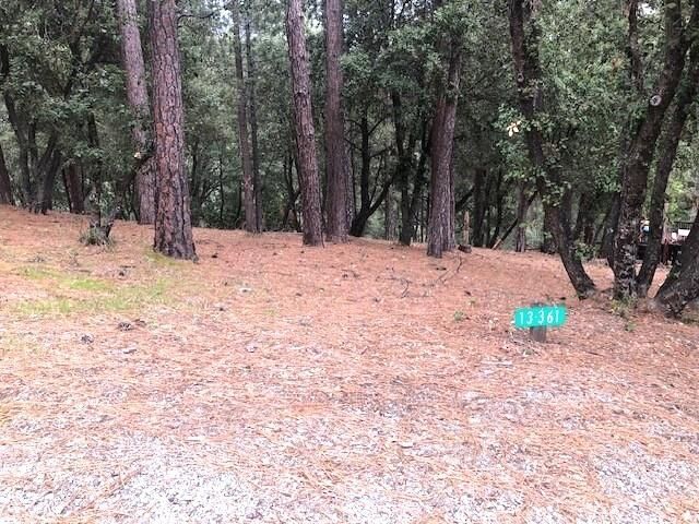 Property Photo:  12301 Tower Peak Ct  CA 95321 