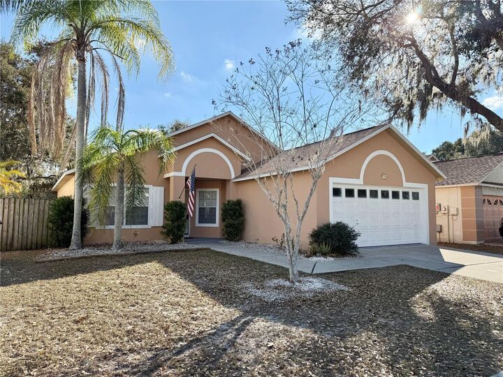 Property Photo:  10233 Allenwood Drive  FL 33569 