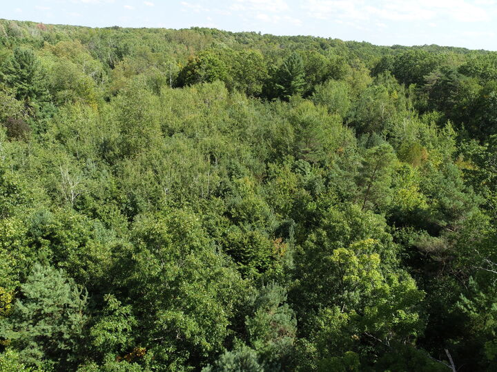 Property Photo: 00 N Hawkins Road MI 49656