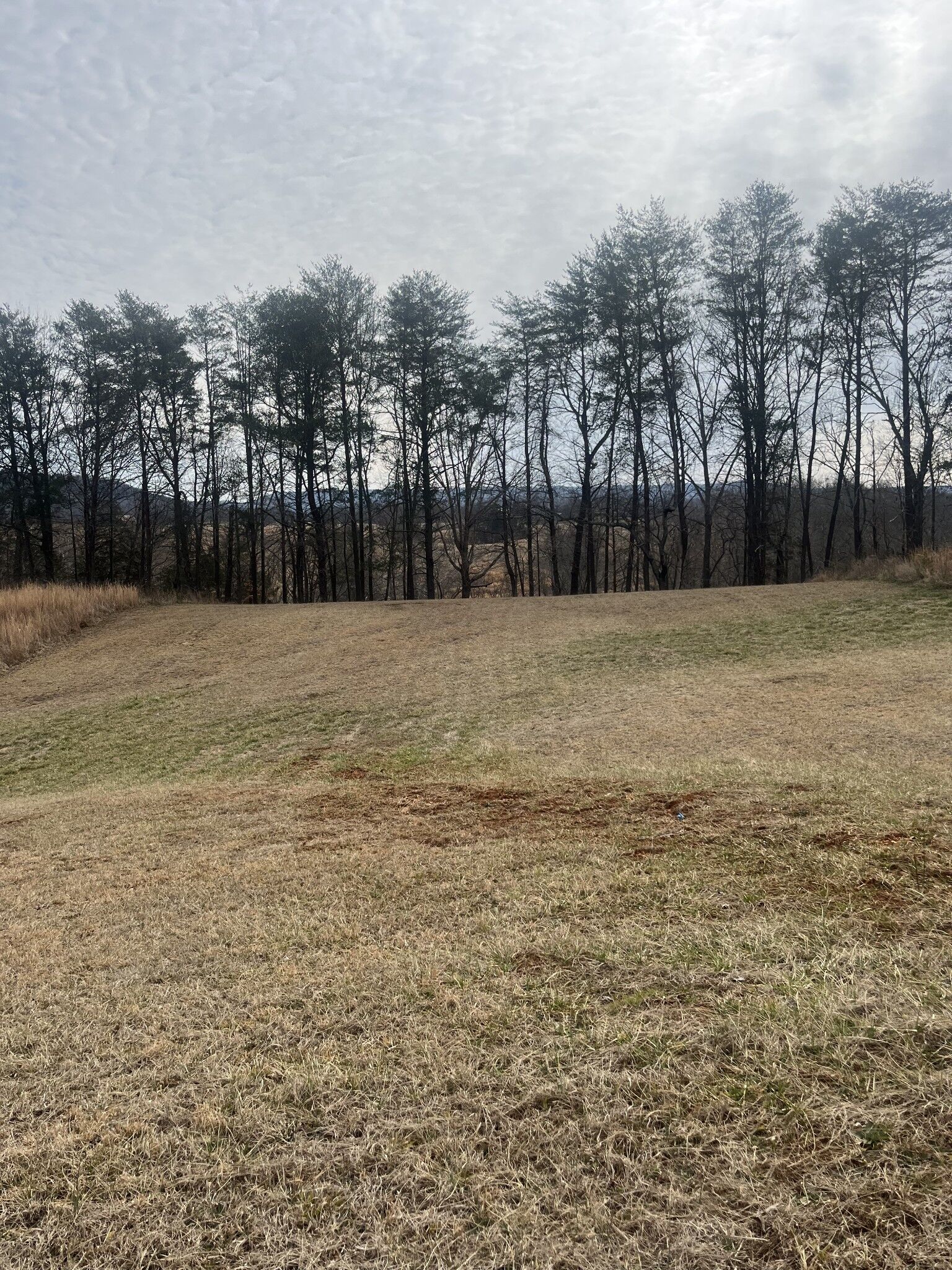 Property Photo: 0 Hidden River Rd TN 38581