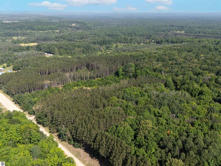 Property Photo: Vl W Phelps Road MI 49663
