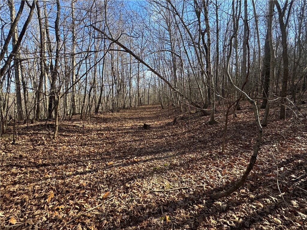 Property Photo:  Tbd 001 Plumlee Rd  AR 72611 