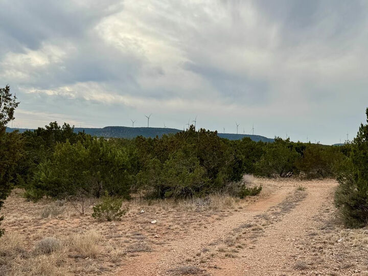 Property Photo:  537 Lone Mills Road  TX 76945 