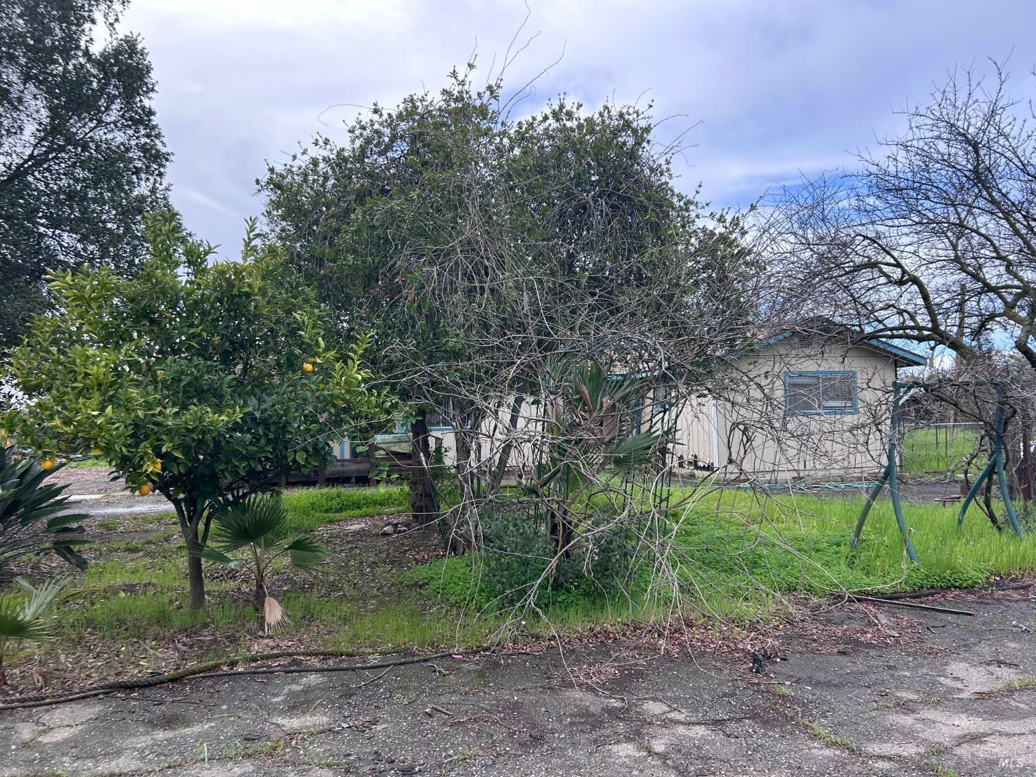 Property Photo:  1005 Poplar Road  CA 95687 