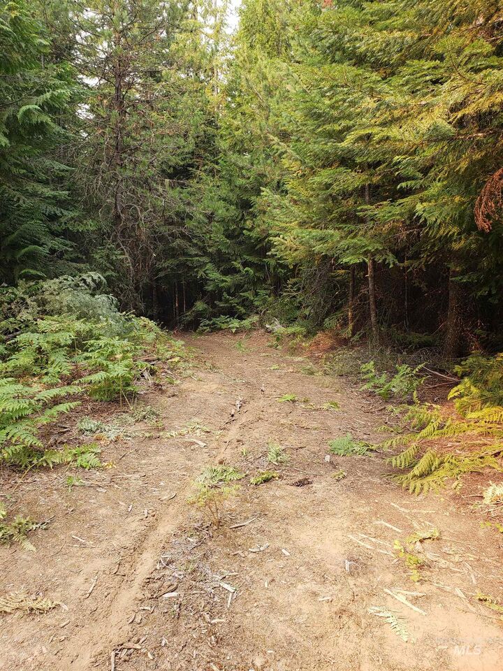 Property Photo:  80 E Ridge Dr.  ID 83861 