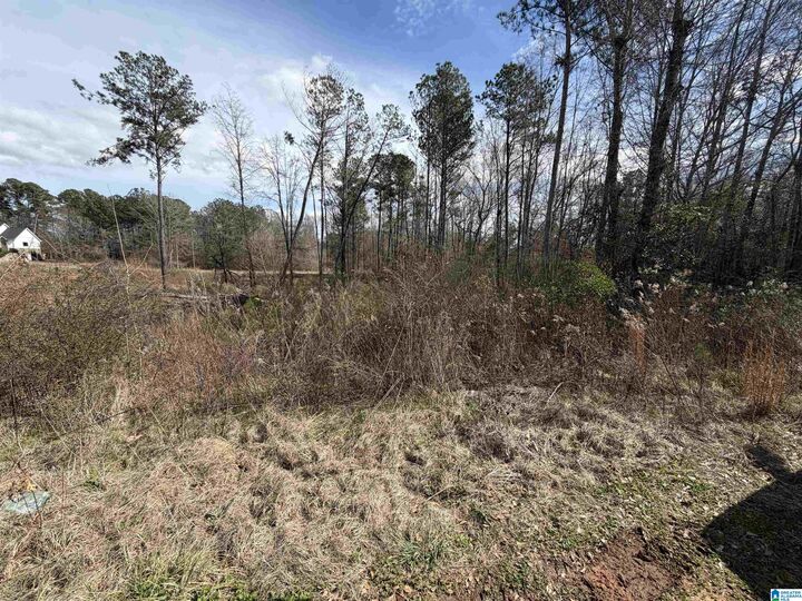 Property Photo:  1116 Baylor Court 66  AL 35128 