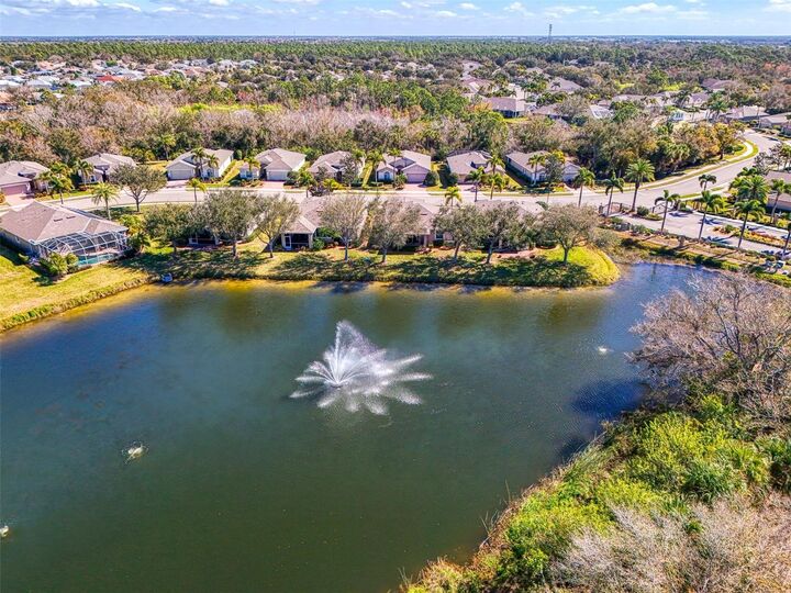 Property Photo: 9113 Coachman Drive FL 34293