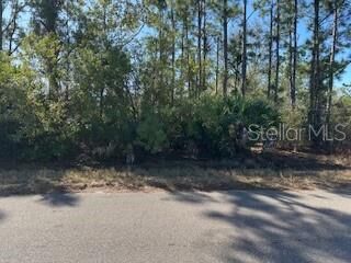 Property Photo:  22143 Scarsdale Avenue  FL 33954 