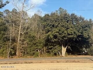 Property Photo: 120 Rough Horn Road NC 28438