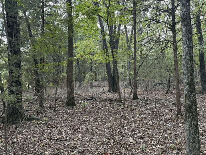 Property Photo:  Lower Place Drive  AR 72644 