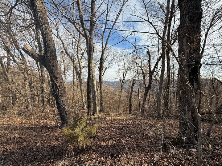 Property Photo:  258 Holiday Island Drive  AR 72631 