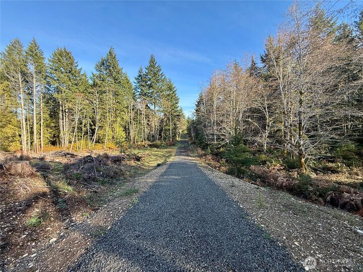Property Photo: 250 E Solbakk Veien Road WA 98584