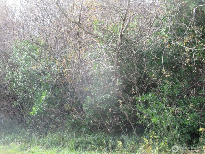 Property Photo: 0 Driftwood Dr Drive WA 98569