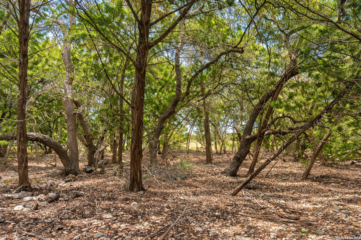 Property Photo: 1639 Bussola TX 78132