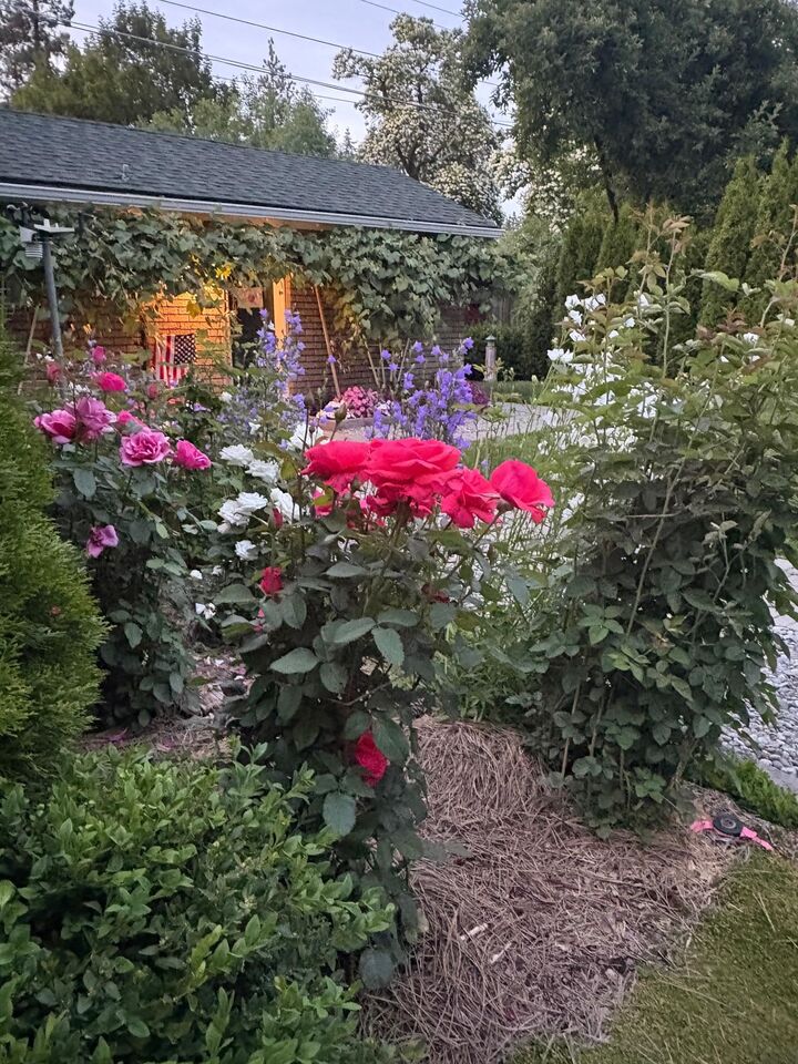 Property Photo:  3128 W Glass Ave  WA 99205 