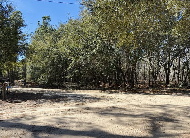 Property Photo: 0 Ripley Court SC 29047