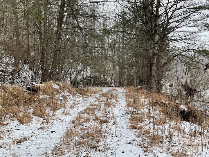 Property Photo: 0000 Nc Hwy 197 Highway NC 28740